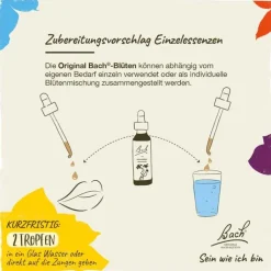 Bachblüten Nr. 30 Sweet Chestnut Tropfen, 20 ml