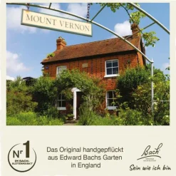 Bachblüten Nr. 31 Vervain Tropfen, 20 ml