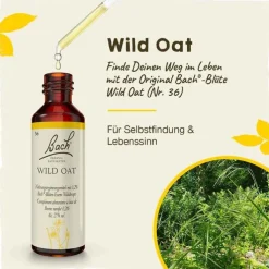 Bachblüten Nr. 36 Wild Oat Tropfen, 20 ml