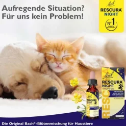 Hot Bachblüten Original Night Pets Tropfen alkoholfrei , 10 ml Bachblütentropfen|Bachblüten Für Tiere