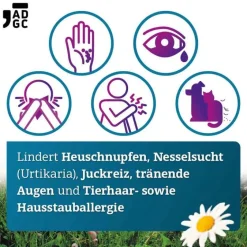 Sale Bilastin 20 mg Tabletten bei Allergie, 6 St Bilastin|Allergie Tabletten