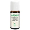 Outlet Bio Eukalyptus-Öl, 10 ml Aromatische Düfte|Körperöle