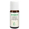 Hot Bergland Bio Lavendel-Öl, 10 ml