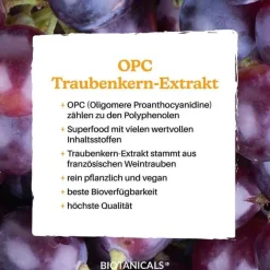 New Biotanicals OPC Traubenkernextrakt Kapseln, 150 St