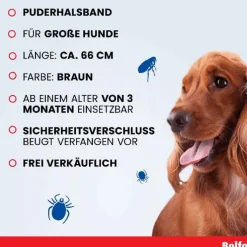 Bolfo Flohschutzband für große Hunde, 1 St