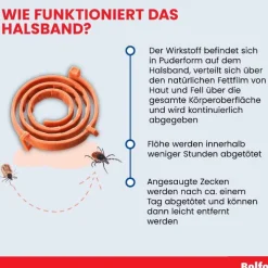Bolfo Flohschutzband für große Hunde, 1 St