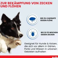 Sale ® Zecken- und Flohschutzband für Katzen und kleine Hunde, 1 St Flöhe, Zecken & Co.|Flöhe, Zecken & Co.