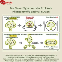 Best Dr. Wolz Brokkoliextrakt + Aktiv-Enzym magensaftresistent Kapseln , 60 St