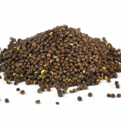 Outlet Brokkolisamen Sulfo forte Bio , 250 g Spezialitäten