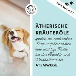 Annimally Bronchial Plus Atemwegsmischung Saft für Hunde, 100 ml