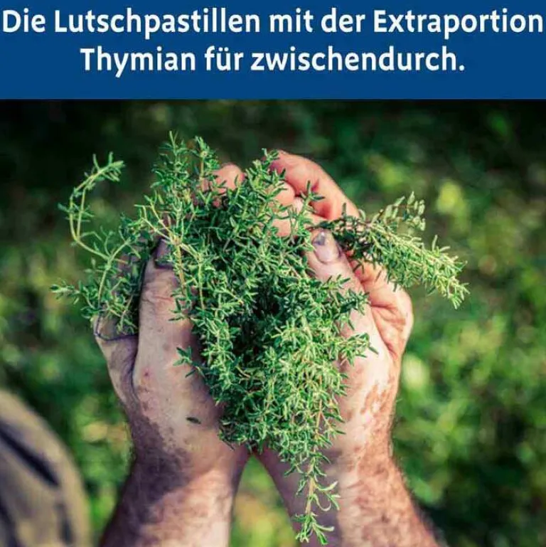 Sale Bronchipret Thymian Pastille, 50 St