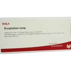 New Bryophyllum comp. Ampullen, 10X1 ml Für Die Frau