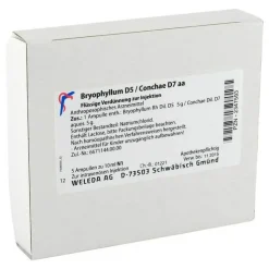 Bryophyllum D 5 / Conchae D 7 Ampullen, 5X10 ml