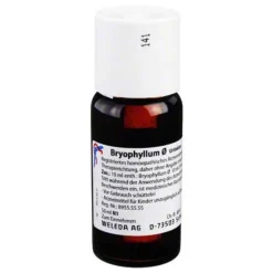 Online Bryophyllum Urtinktur, 50 ml B