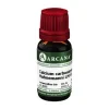 Outlet Calcium carbonicum LM 6 Hahnemanni Dilution, 10 ml C-D|C
