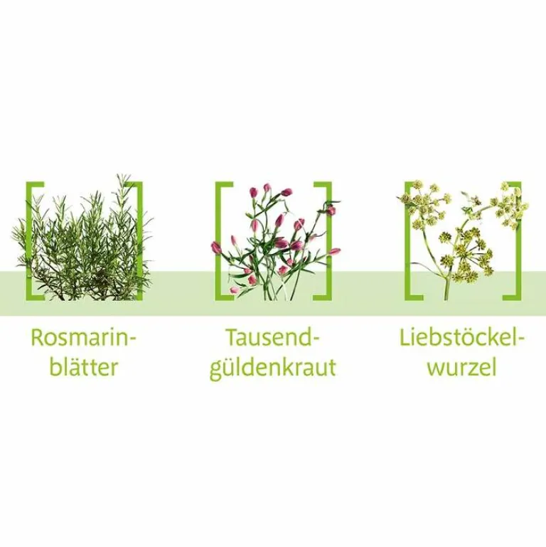 Hot Canephron N Dragees, 60 St