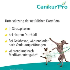 Canikur Pro vet. Paste, 60 ml