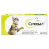 Discount Katze Kautabletten, 30 St Bewegungsapparat
