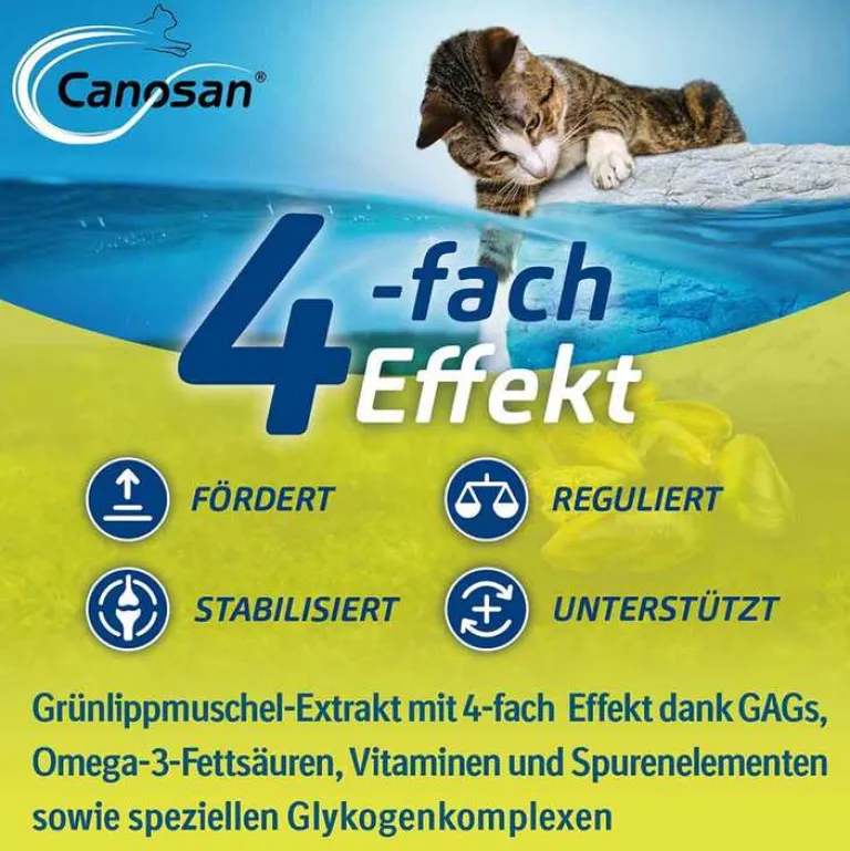 Discount Katze Kautabletten, 30 St Bewegungsapparat