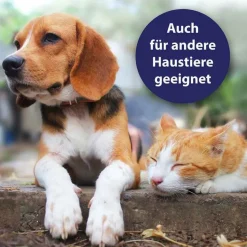 Clearance Canosept Hautpflege Spray für Hunde, 250 ml