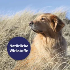 Clearance Canosept Hautpflege Spray für Hunde, 250 ml