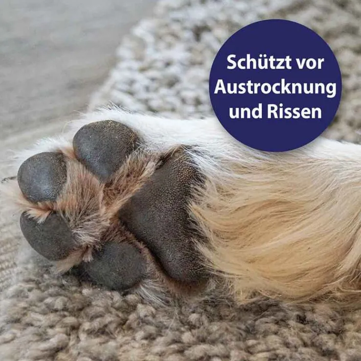 Canosept Pfotenpflege Gel für Hunde, 75 g