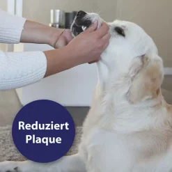 Online Canosept Zahnpflege Finger-Pads für Hunde, 50 St