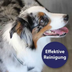 Outlet Canosept Zahnpflegespray für Hunde, 100 ml