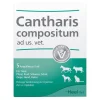 Clearance Cantharis Compositum Ampullen vet. (für Tiere), 5 St Biologische Heilmittel Heel Gmbh