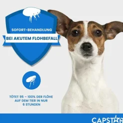 CAPSTAR™ 11,4 mg Tabletten für Katzen und kleine Hunde, 6 St