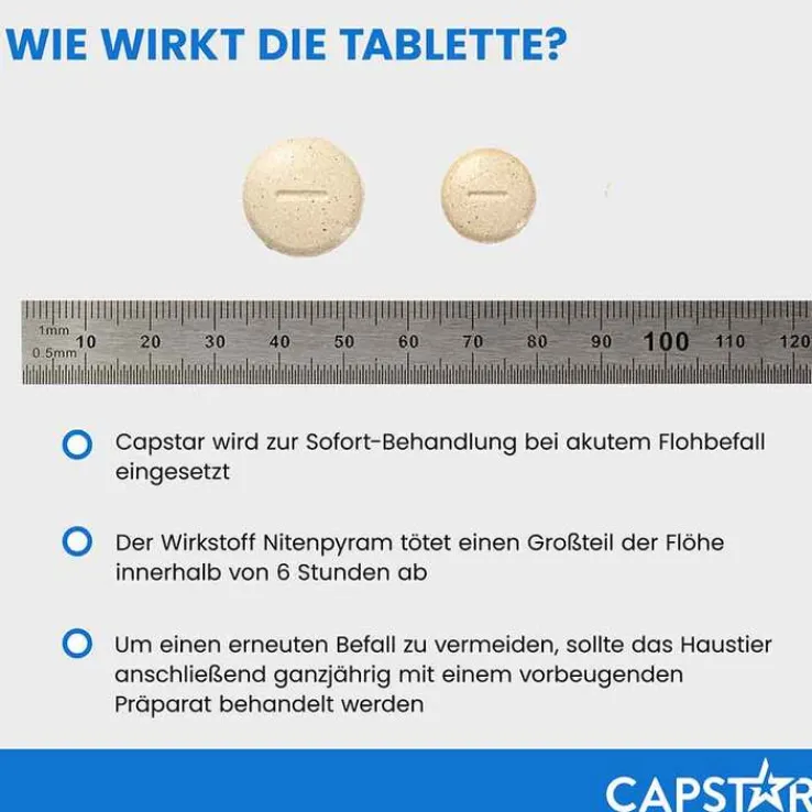 CAPSTAR™ 11,4 mg Tabletten für Katzen und kleine Hunde, 6 St
