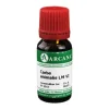Arcana Carbo animalis LM 6 Dilution, 10 ml