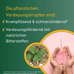 Discount ® Verdauungstropfen, 2X50 ml Verdauung