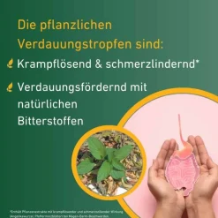 Carvomin Verdauungstropfen, 50 ml