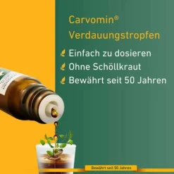 Online Verdauungstropfen, 20 ml Verdauung