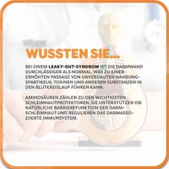 Outlet Maxiamin Kapseln, 80 St Aminosäuren|Verdauung