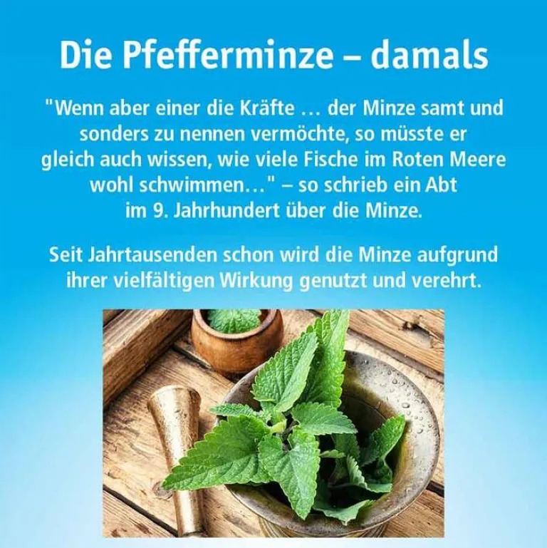 Outlet Hals- und Hustenbonbons ohne Zucker, 40 g Husten & Halsbonbons