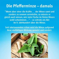 Sale China Öl China Oel mit 3 Inhalatoren, 100 ml