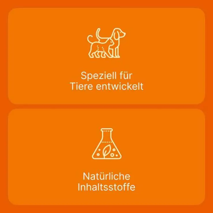 Coenzyme compositum® ad us. vet. Ampullen (2,2 ml), 10 St