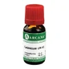 Colchicum Arcana LM 6 Dilution, 10 ml