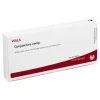 Hot Conjunctiva comp. Ampullen, 10X1 ml Auge & Ohr