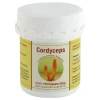 Cordyceps sinensis Kapseln, 100 St