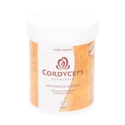 Outlet Cordyceps Vitalpilz Kapseln, 240 St Cordyceps