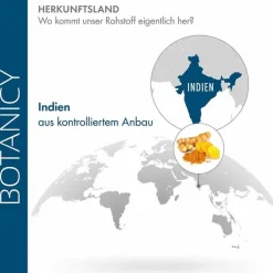 Curcuma Forte Kapseln, 30 St