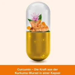 Outlet Dr. Loges Curcumin-loges Kapseln, 120 St