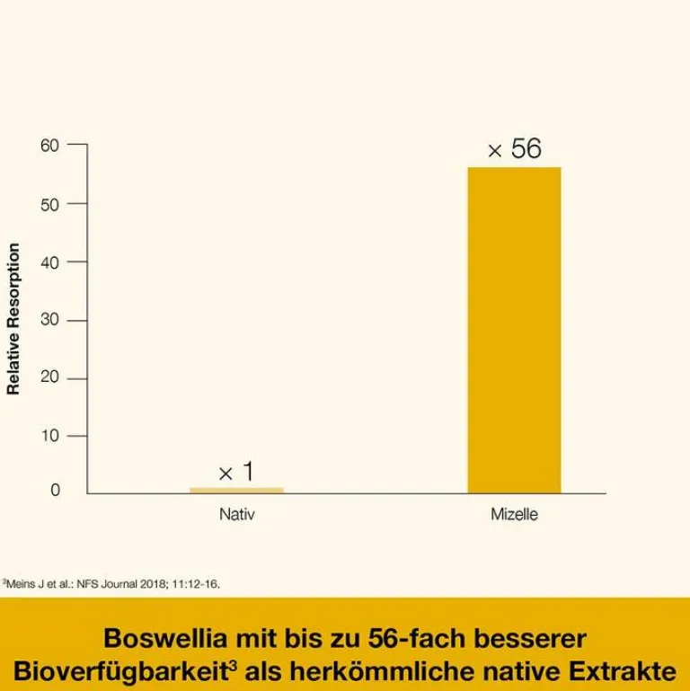 New Curcumin-Loges plus Boswellia Kapseln, 60 St Kurkuma Kapseln|Immunsystem
