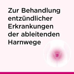 Online Cystinol akut® Dragees, 60 St