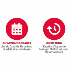 Hot D3 + K2 Vit AL 2000 I.E. / 80 µg Kapseln, 90 St Vitamin K|Vitamin D (Colecalciferol)