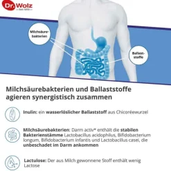 Best Dr. Wolz Darm Activ Pulver, 209 g
