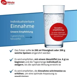 Best Dr. Wolz Darm Activ Pulver, 209 g